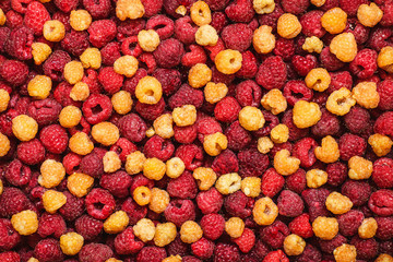 Background of mixed yellow and red raspberries
