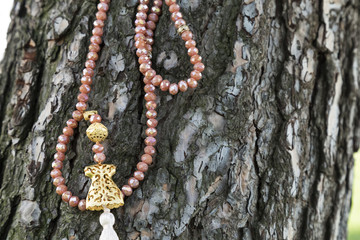 rosary on the tree for Islamic concept or friday message.