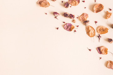 Autumn floral composition. Frame made of dried flowers and leaves on pastel beige background. Autumn, fall concept. Flat lay, top view, copy space