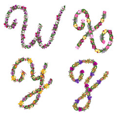 Set of floral elements alphabet letters W, X, Y, Z, made with leaves and orchids flowers