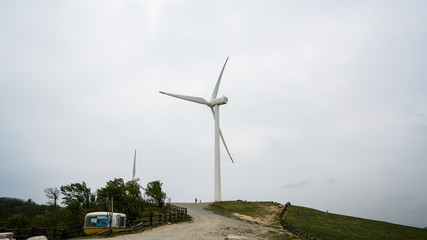 Daegwallyeong sheep and cow Farm in Gangwon-do Province, Korea