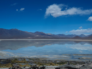 Altiplanic High Altitude Lake in Bolivia Desert, Uyuni