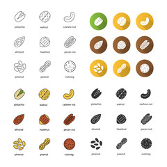 Spices icons set