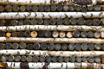 texture of birch logs stacked in a stack