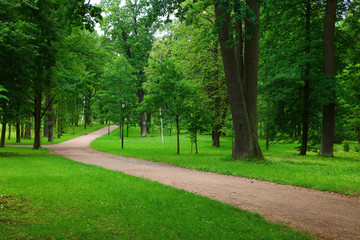 footpath in the beautiful green park in summer
