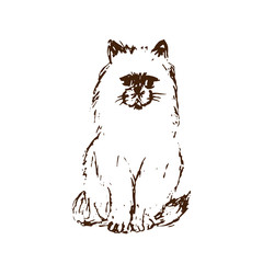 Hand drawn sketch of cat. Brown line drawing isolated on white background. Fluffy little pet. Cute furry sitting kitten. Vector animal illustration.