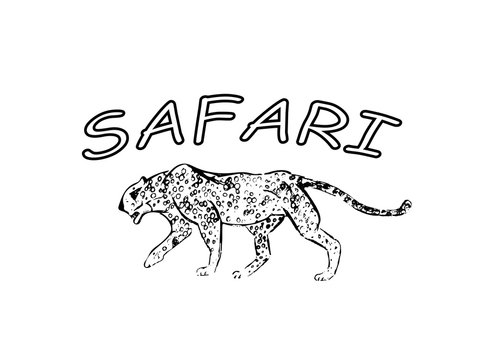 Cheetah. Hand drawn ink sketch. Horizontal drawing. Vector engraving. Predator line art. Black line illustration isolated on white background. Safari concept.