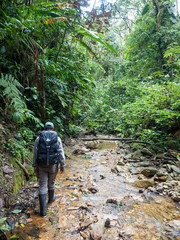 Mindo Cloud Forest, Ecuador