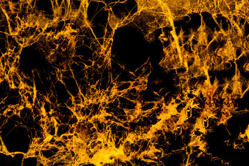 Gold marble texture background. Abstract natural . Gold concept.