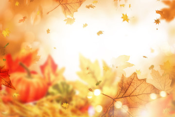 indian summer leaves background