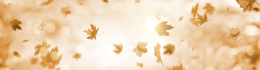 indian summer autumn leaves  - obrazy, fototapety, plakaty