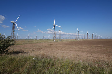 high windmills in large numbers standing on a large field