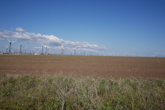 A clean field with a lot of wind generators against a blue cloudy sky