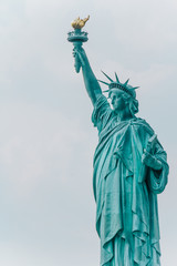 Fototapeta na wymiar Freiheitsstatue New York City - Porträt seitlich