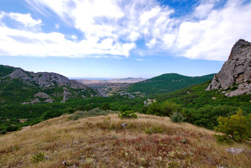 Fototapeta na wymiar A beautiful mountain area with green trees, yellow grass, gray rocks and blue sky