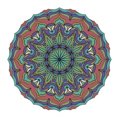 Modern floral vector ornaments. bright colors. Floral vector decoration