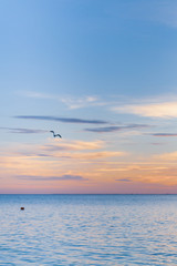 Beautiful summer sunset with clouds over the sea