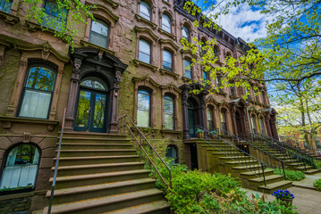 Brownstones along Chapel Street at Wooster Square, in New Haven, Connecticut. - obrazy, fototapety, plakaty