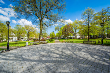 Chatham Square Park, in New Haven, Connecticut - obrazy, fototapety, plakaty