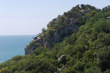 Lush green trees and shrubs on the slope of a huge rocky mountain