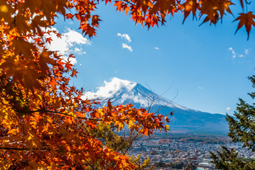 Autumn tree and Mount Fuji in Japan.