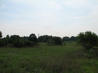 Fototapeta premium landscape