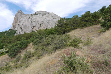 Slope overgrown with dry grass and low trees of coniferous species with a rock of the word grown in the middle of it and the sky above with clouds.