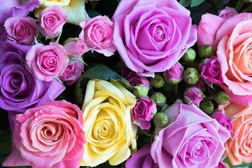 Obraz na płótnie Canvas Background of bright roses blurred. A bouquet of delicate yellow, lilac, pink roses background blurred. Gift, congratulations on the wedding, St. Valentin's Day, Mother's Day
