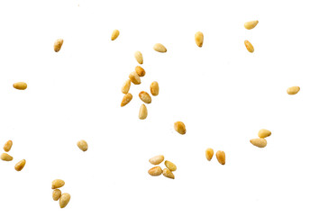 Unshelled pine nuts isolated on white