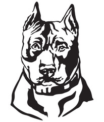 Decorative portrait of Dog American Staffordshire Terrier vector illustration