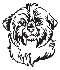 Decorative portrait of Dog Shih Tzu vector illustration