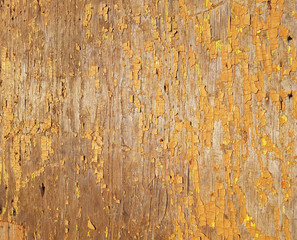 Background of a wooden texture