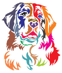 Colorful decorative portrait of  Bernese Mountain Dog vector illustration