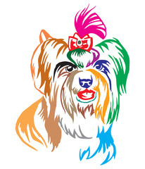 Colorful decorative portrait of Dog Biewer Terrier vector illustration