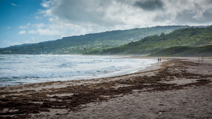 Strand auf Barbados
