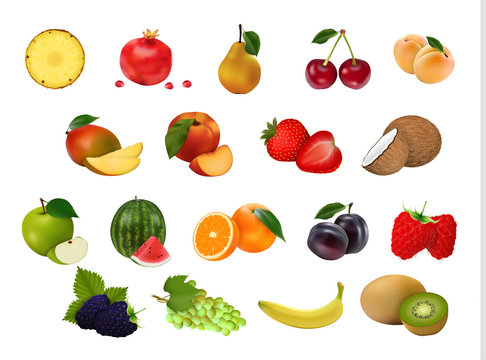 set of 18 fresh fruits on white background, no shadows. Realistic style. Vector illustration.