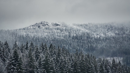 Winterlandschaft