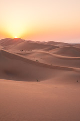 Fototapeta na wymiar Wüste / Desert - Abu Dhabi