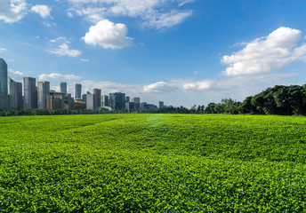 Fototapeta na wymiar green lawn with city skyline in the park