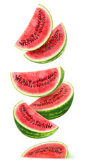 Isolated watermelon slices. Pieces of watermelon fruit flying in the air isolated on white...