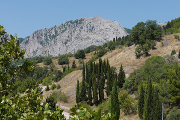 a small grass-covered slope against the background of high gray mountains