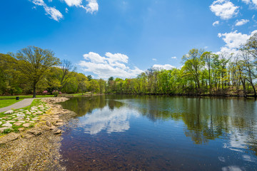 The Duck Pond at Edgewood Park in New Haven, Connecticut - obrazy, fototapety, plakaty