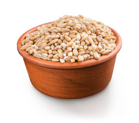 Wheat grains in bowl on white background