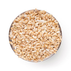 Wheat grains in bowl on white background