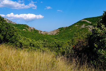 Naklejka premium wide green bushes on the background of grass-covered mountains under the blue sky