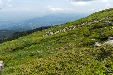 Fototapeta na wymiar Panorama with green hills at Vitosha Mountain, Sofia City Region, Bulgaria