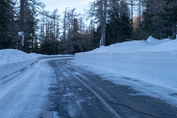 Road through the winter forest