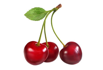 Cherry branch with berry and leaf isolated on white