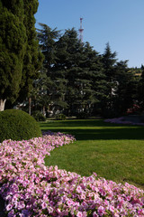 A flower bed with small pink flowers near a smoothly cut lawn against a background of decorative artisans and tall trees