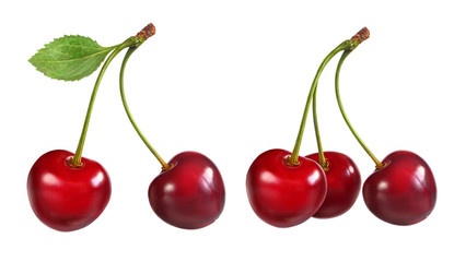 Beautiful cherry for clipping path